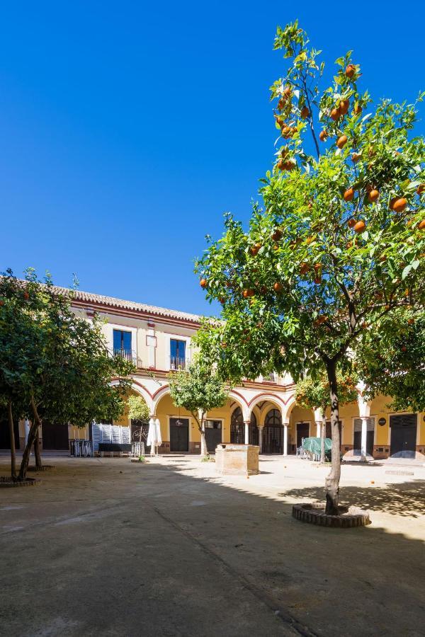 Historico Garaje Y Wifi Apartment